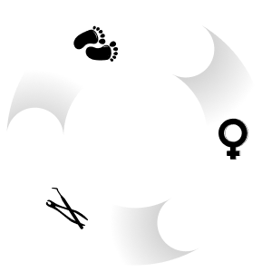 The SurgiCare Associates